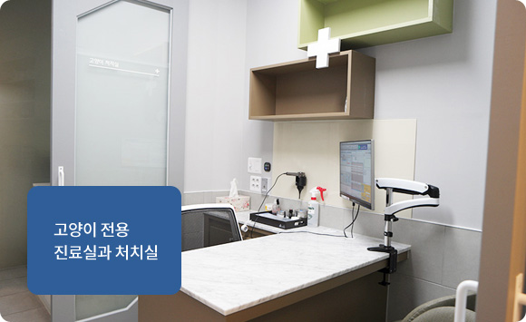 고양이 전용 진료실과 처치실